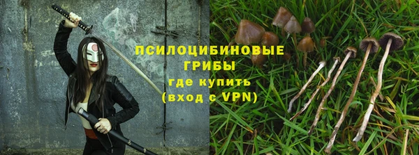 прущая мука Абаза